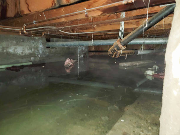  Mitchellville, IA Water damage restoration Pros