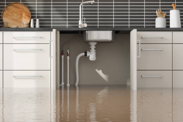 Best Water damage repair service  in Mitchellville, IA